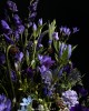 訂製花禮-桌花-018號