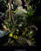 訂製花禮-桌花-021號 訂製花禮-桌花-021號