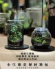 小生態材料包 小生態材料包