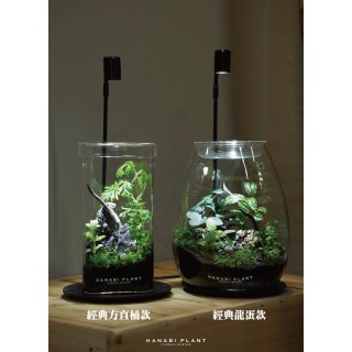 經典龍蛋/方直筒生態瓶-生態瓶