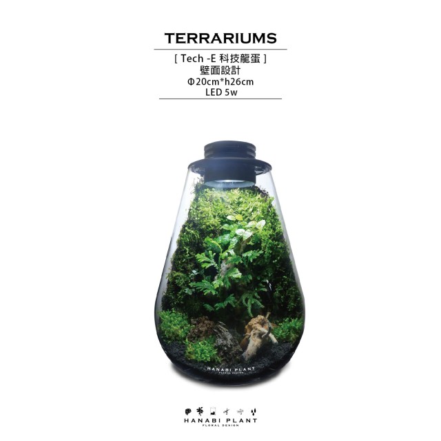 科技龍蛋 科技龍蛋