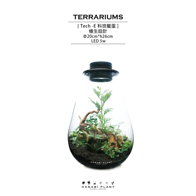 科技龍蛋 科技龍蛋