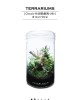 經典直筒系列 經典直筒系列