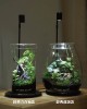 生態瓶課程-落地植生款設計 生態瓶課程-落地植生款設計