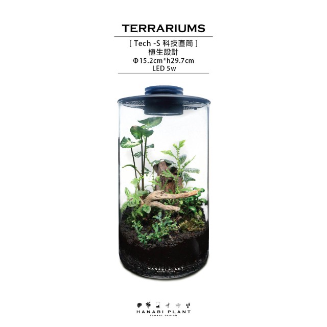 生態瓶課程-落地植生款設計 生態瓶課程-落地植生款設計