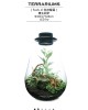 生態瓶課程-落地植生款設計 生態瓶課程-落地植生款設計