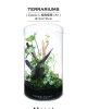 生態瓶課程-落地植生款設計 生態瓶課程-落地植生款設計