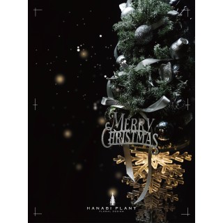 成品區 | 鏡樹冰晶-聖誕裝置  