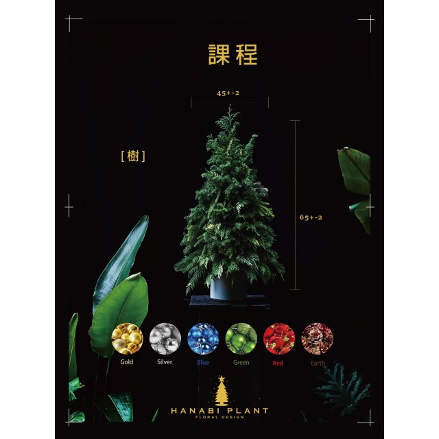 課程 | 經典聖誕樹 