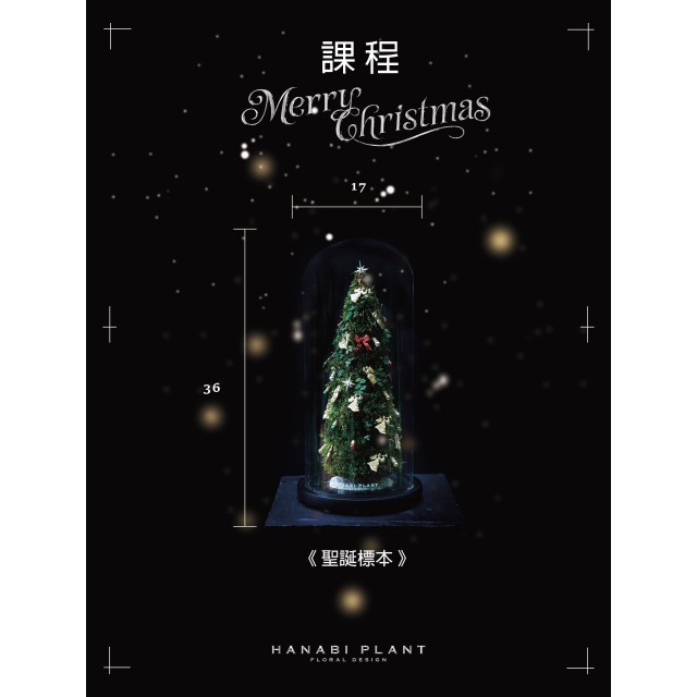 課程 |  Xmas Specimen｜聖誕標本  