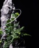 花異設計裝置-003 花異設計裝置-003