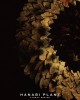 花異設計裝置-012 花異設計裝置-012