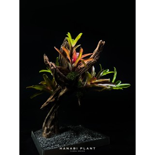 花異設計裝置-013