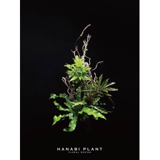 組合植栽設計-002
