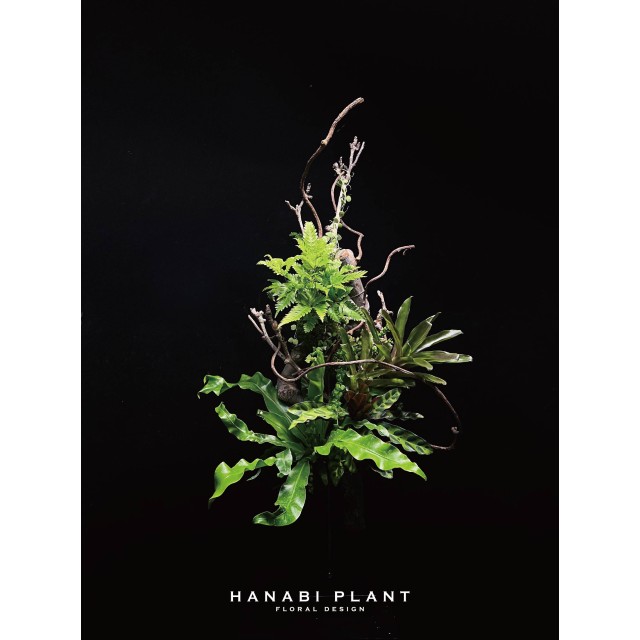 組合植栽設計-002 組合植栽設計-002