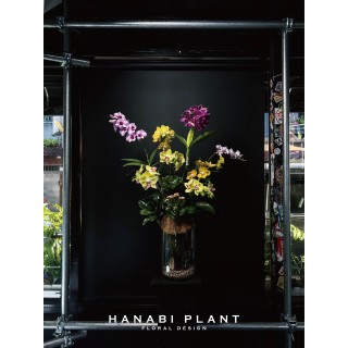 組合蘭花設計-001