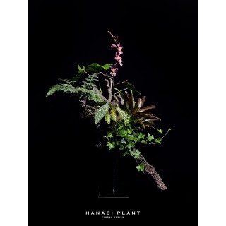 組合植栽設計-003