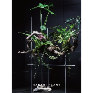 組合植栽設計-004