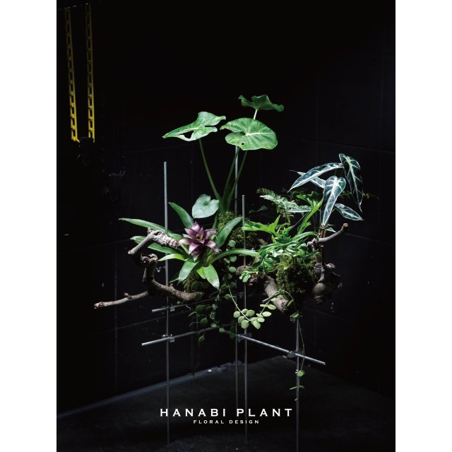 組合植栽設計-004