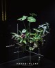 組合植栽設計-004