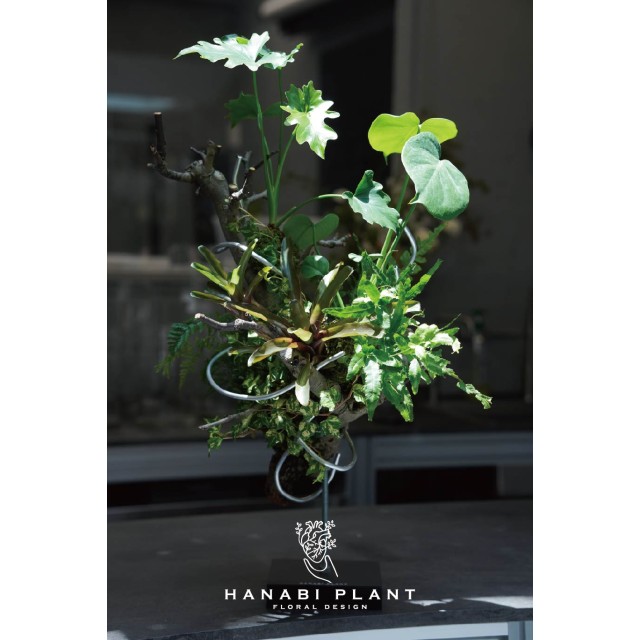 組合植栽設計-001 組合植栽設計-001