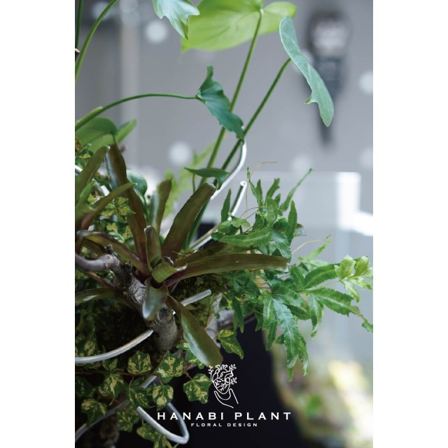 組合植栽設計-001 組合植栽設計-001